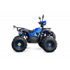 Квадроцикл TZR CLASSIC 125