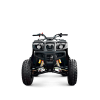 Квадроцикл TZR CLASSIC 200